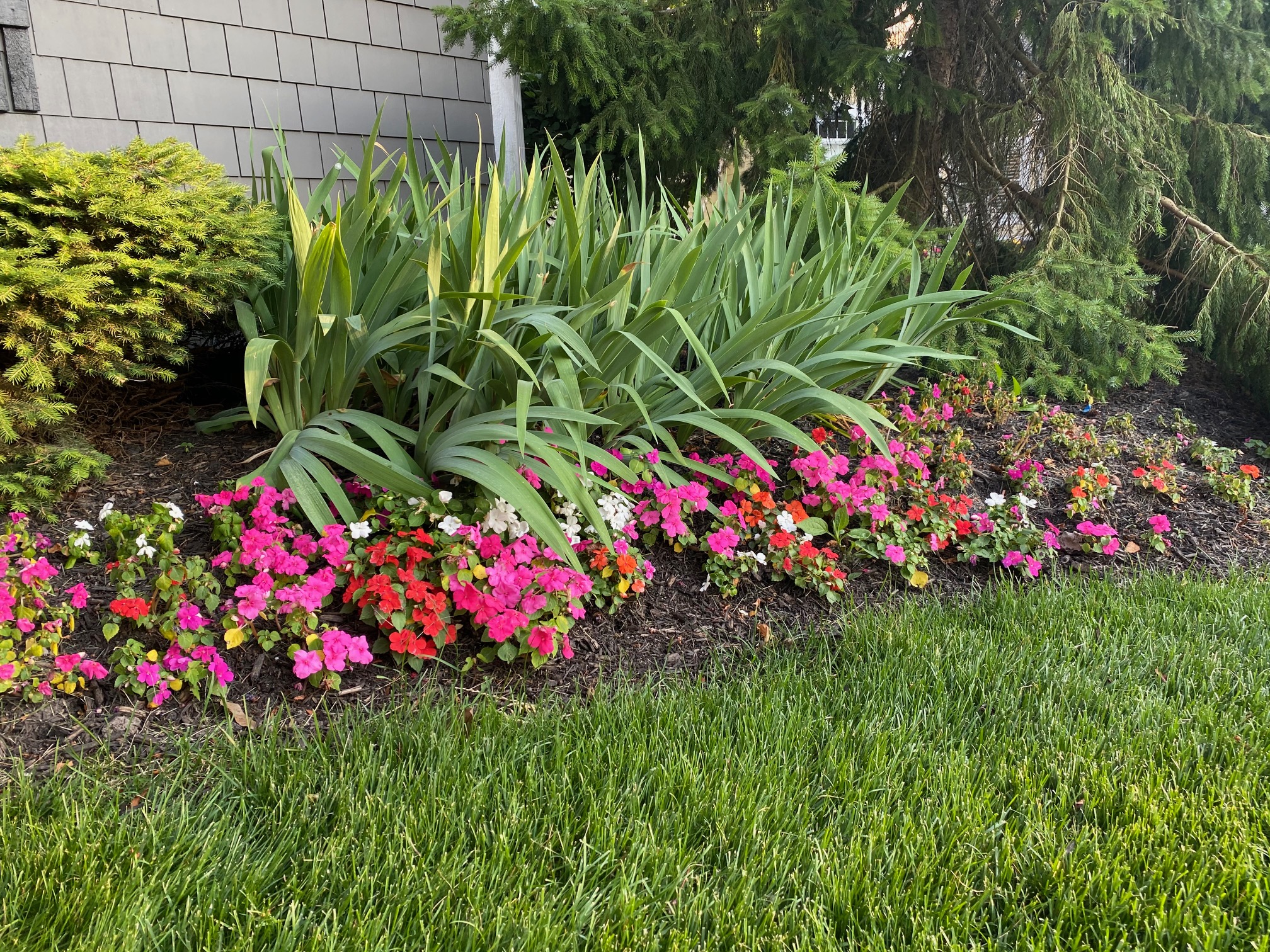 Flower Beds