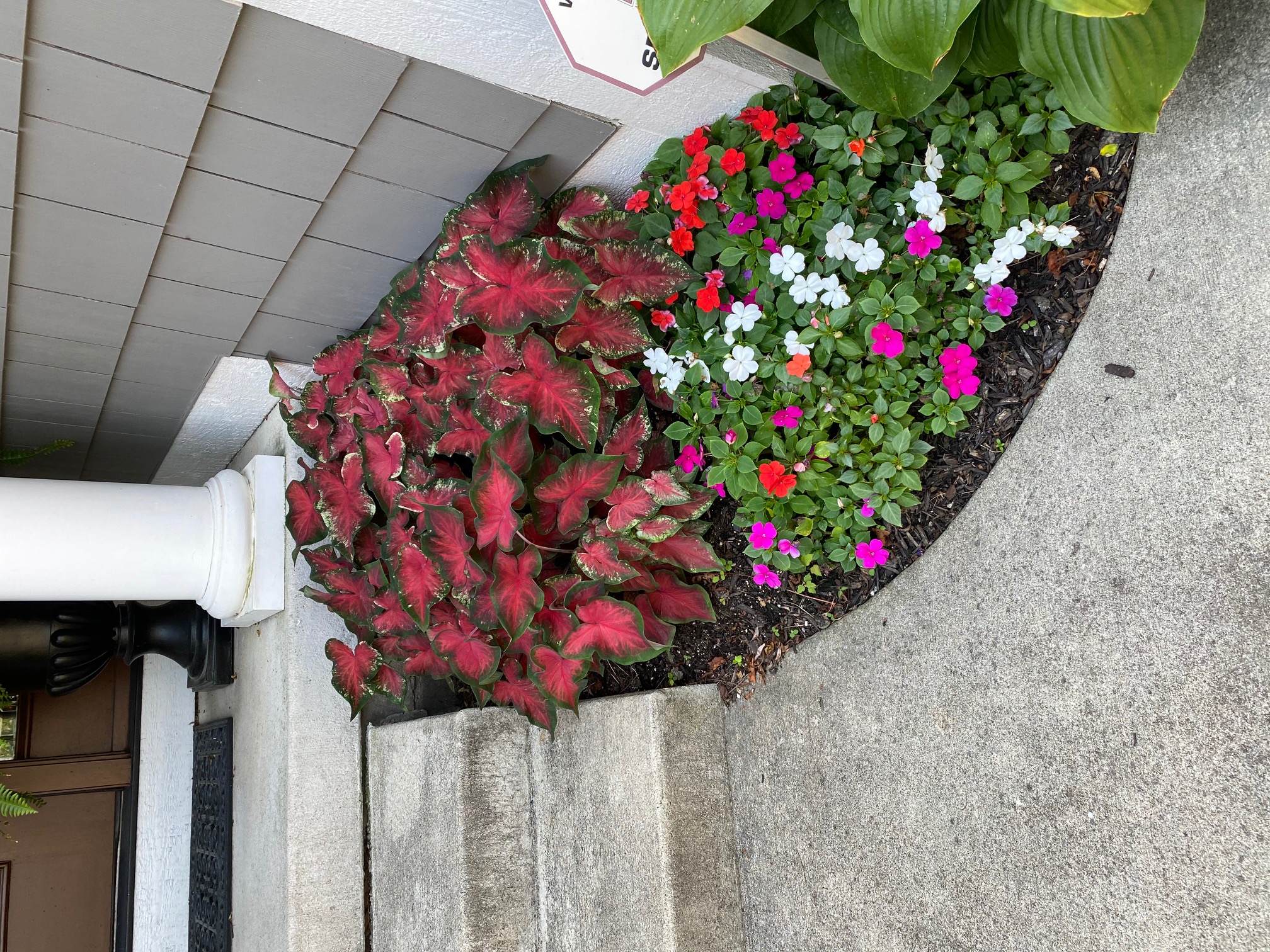 Decorated Steps