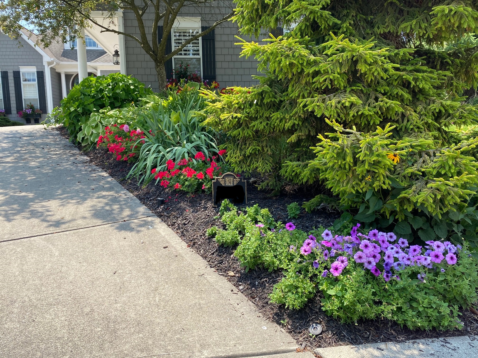 Decorated Driveways